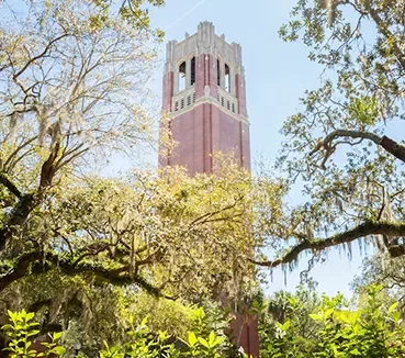 tower with trees in the foreground