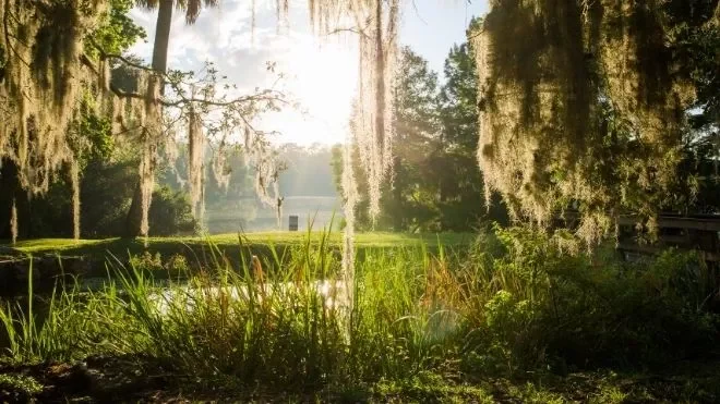 Statewide Impact - Slide Media marshy area